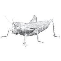 METAL EARTH ME1033 GRASSHOPPER 3D METAL MODEL KIT