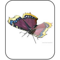 METAL EARTH MMS126 BUTTERFLIES MORNING CLOAK 3D METAL MODEL KIT