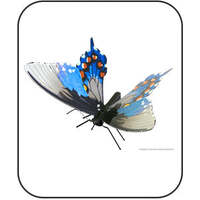 METAL EARTH MMS128 BUTTERFLIES PIPEVINE SWALLOWTAIL 3D METAL MOPDEL KIT