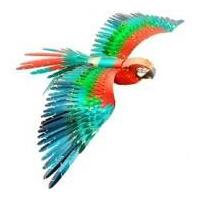 METAL EARTH PREMIUM SERIES ICONX ICX118 PARROT - JUBILEE MACAW 3D METAL MODEL KIT WITH ACRYLIC STAND
