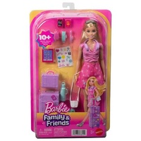 BARBIE JMJ47 FAMILY AND FRIENDS DREAMHOUSE ADVENTURES WITH MALIBU DOLL
