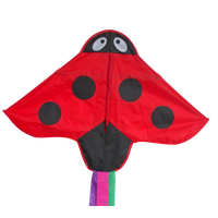 HAAK LADYBIRD 60CM X 3M SINGLE LINE KITE