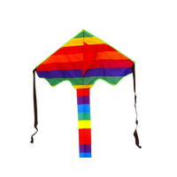 HAAK MIDGET RAINBOW 0.6M x1.37M SINGLE LINE KITE
