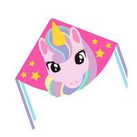 HAAK UNICORN 1M X 70CM SINGLE LINE KITE