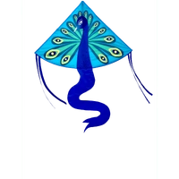 HAAK PEACOCK SINGLE LINE KITE FOR AGES 5 PLUS WINDS 4KPH TO 25KPH