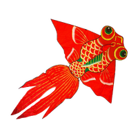 HAAK GIANT GOLDFISH 1.9 x 2.4M KITE