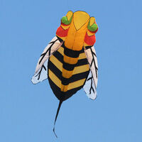 HAAK INFLATABLE BEE SOFT KITE SINGLE LINE KITE 230CM X 150CM