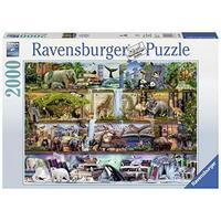 RAVENSBURGER 166527 AIMEE STEWART - WILD KINGDOM SHELVES 2000PC JIGSAW PUZZLE