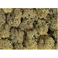 NOCH 08600 LICHEN STONE GRAY 35 GRAM