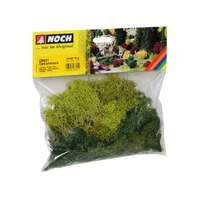 NOCH 08621 LICHEN AUTUMN LIGHT AND DARK MIX 75G SCENICS