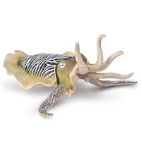 COLLECTA CO80009 COMMON  CUTTLEFISH