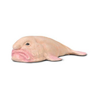 COLLECTA CO80037 BLOBFISH