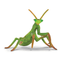 COLLECTA CO88351 PRAYING MANTIS FIGURINE