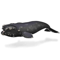 COLLECTA CO88740 RIGHT WHALE