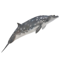 COLLECTA CO88761 BLAINVILLE'S BEAKED WHALE FIGURINE