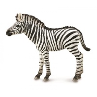 COLLECTA 88850 ZEBRA FOAL M