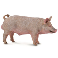 COLLECTA CO88864 PIG - BOAR