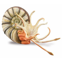 COLLECTA CO88902 PLEUROCERAS AMMONITE