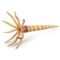 COLLECTA CO88903 ORTHOCERAS