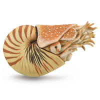 COLLECTA CO88907 NAUTILUS POMPILIUS FIGURINE