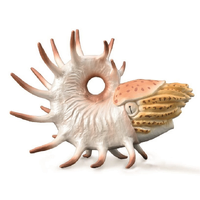 COLLECTA CO88946 COOPEROCERAS