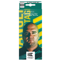TARGET ROB CROSS 2023 VOLTAGE BRASS 22 GRAM STEEL TIP DART - 22 PIECE DART SET