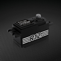 POWER HD R12S LOW PROFILE HIGH VOLTAGE CORELESS DIGITAL SERVO
