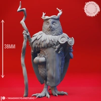 YKS DUNGEONS & DRAGONS MINIATURES OWLIN DRUID MEDIUM