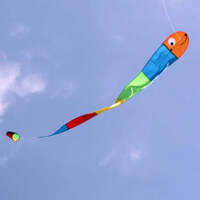 OCEAN BREEZE WILMA WORM CHILDRENS KITE (3.3 METRE LONG)