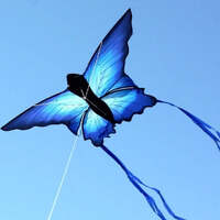 OCEAN BREEZE BLUE ULYSSES BUTTERFLY KITE (1.40 METRE WINGSPAN)