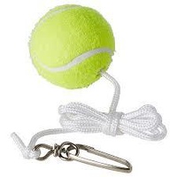 REGENT SPIN TENNIS SPARE BALL