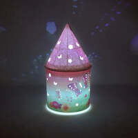 PINK POPPY LIGHT UP FANTASY LANTERN RAINBOW BUTTERFLY COLOUR CHANGING NIGHT LIGHT