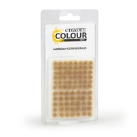 WARHAMMER COLOUR 66-24 MORDIAN CORPSEGRASS TUFTS