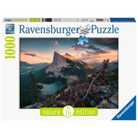 RAVENSBURGER 00334 POWER OF NATURE WILD NATURE 1000PC JIGSAW PUZZLE