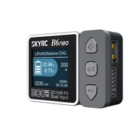SKY RC B6NEO DC/USB DUAL INPUT SMART CHARGER - GREY  [SK-100198-02]